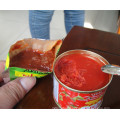 Pâte de tomate en conserve de marque OEM de toutes tailles 70 G à 4,5 kg